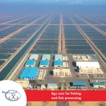 egyptian-stock-exchange-668d9284b6b47