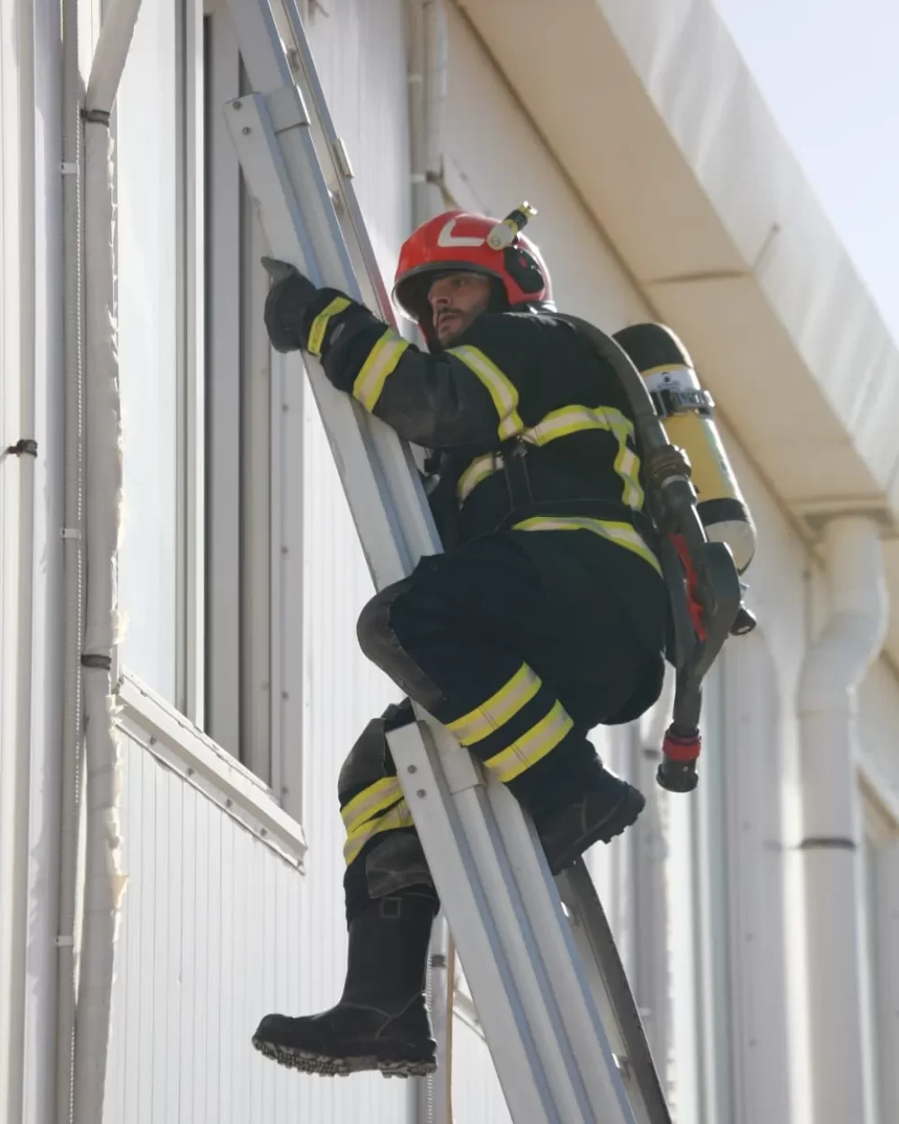 WhatsApp Image 2026-01-13 at 10.31.53 AM